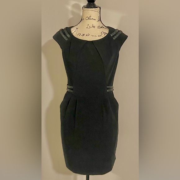 NWT Cynthia Steffe Mini Dress With Pockets & Faux Leather - Picture 9 of 14